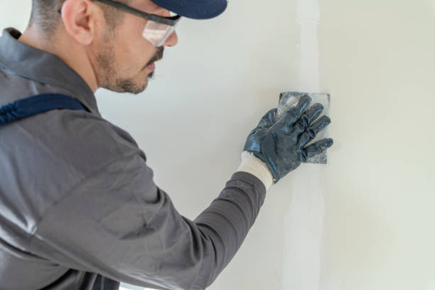 Best Real Estate Mold Inspection  in Munsey Park, NY