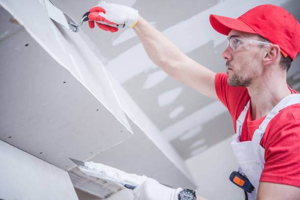 Best Emergency Mold Remediation  in Munsey Park, NY